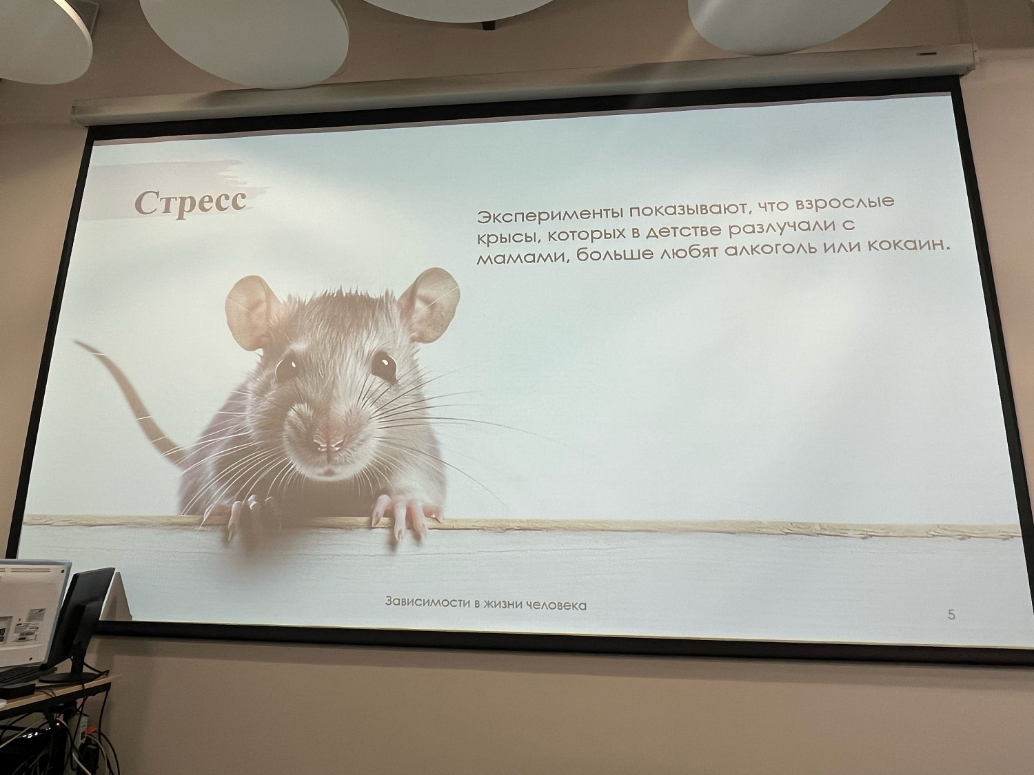 Восьмой городской фестиваль психопросвещения «PSYFEST 2023: осеннее обострение». Специалисты нашего центра подготовили интересную программу для жителей Москвы! ПКБ №1 им. Н.А. Алексеева